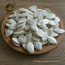 New Crop Snow White Pumpkin Seeds with Perfect Quality
